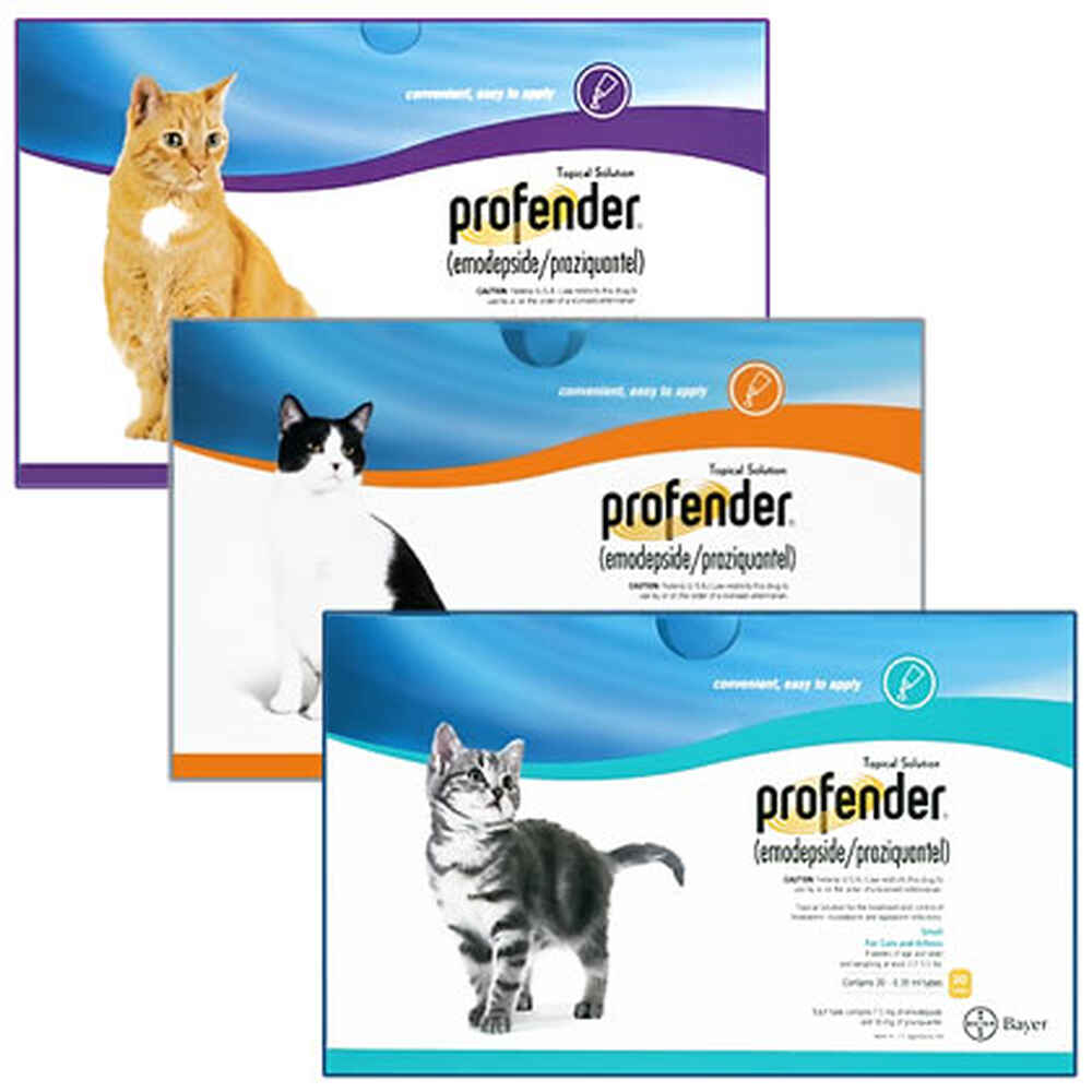 dewormer for cats